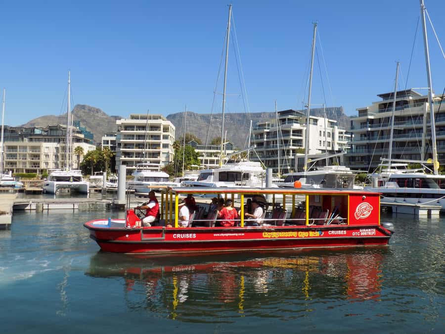 Cape Town: 30 Minute Seal-Watching Harbour Cruise - Key details before you go