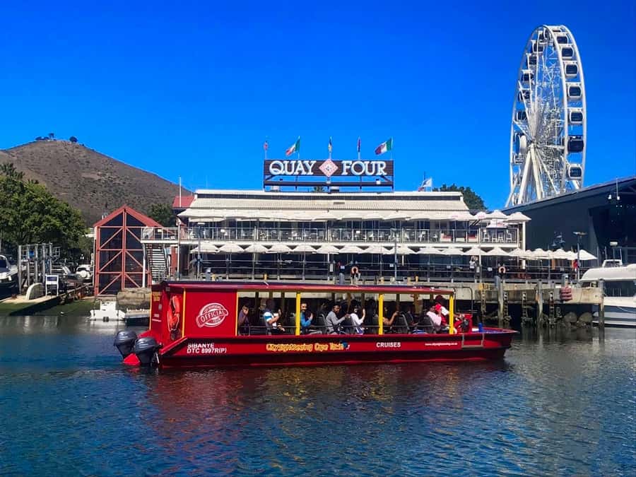 Cape Town: 30 Minute Seal-Watching Harbour Cruise - Finding the Cape fur seals