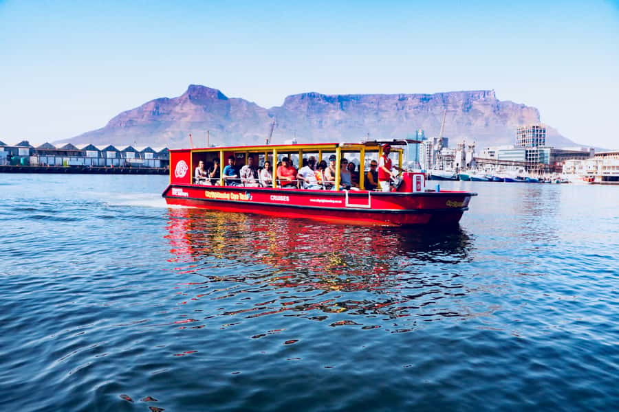 Cape Town: 30 Minute Seal-Watching Harbour Cruise - Audio commentary in 15 languages