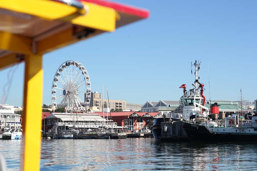 Cape Town: 30 Minute Seal-Watching Harbour Cruise - Who will get the most from this cruise?