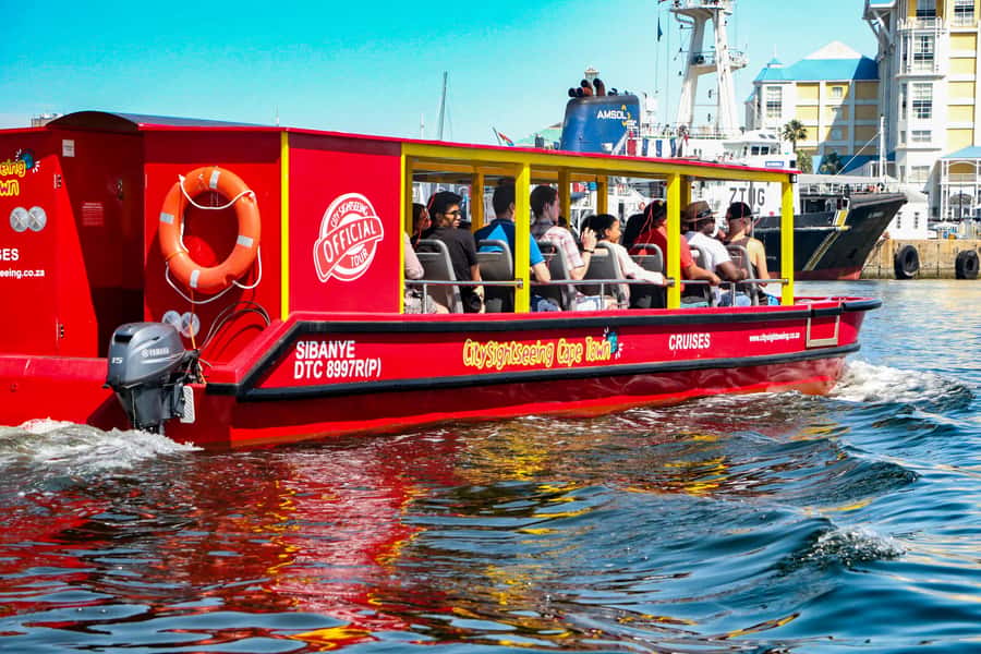 Cape Town: 30 Minute Seal-Watching Harbour Cruise - Practical tips for a smoother ride