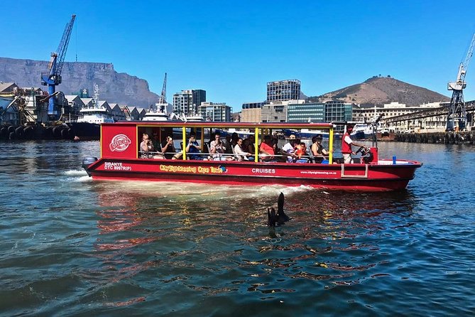 Cape Town 30-minute V&A Harbour Cruise - What the Guide Adds in Half an Hour