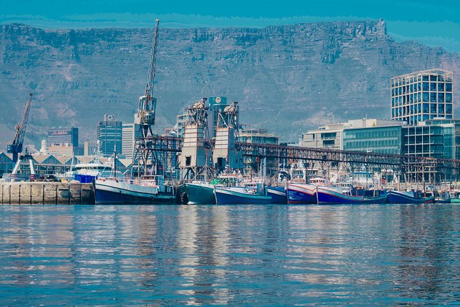 Cape Town 30-minute V&A Harbour Cruise - How to Fit It Into Your Day