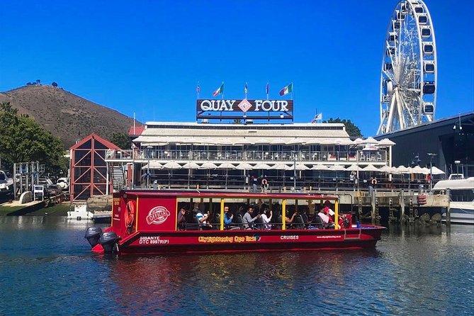 Cape Town 30-minute V&A Harbour Cruise - Seals, Ships, and the Best Views From the Boat