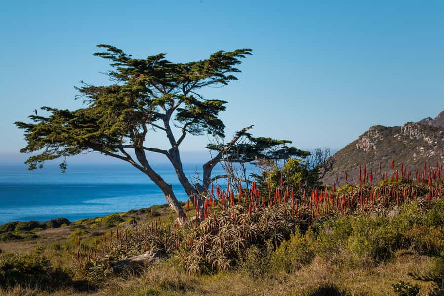 Cape Town: 9-hour Cape Point Private Guided Cycling Tour - My final booking advice