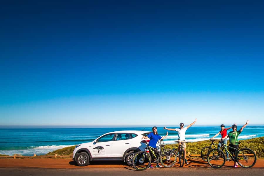 Cape Town: 9-hour Cape Point Private Guided Cycling Tour - What $353 buys you