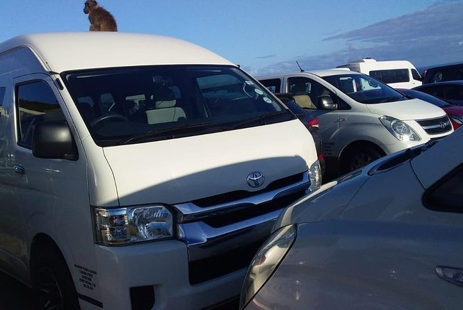 Cape Town Airport Transfers to hotels and Return Transfers, Wi-Fi - Finding the driver at Cape Town International Airport