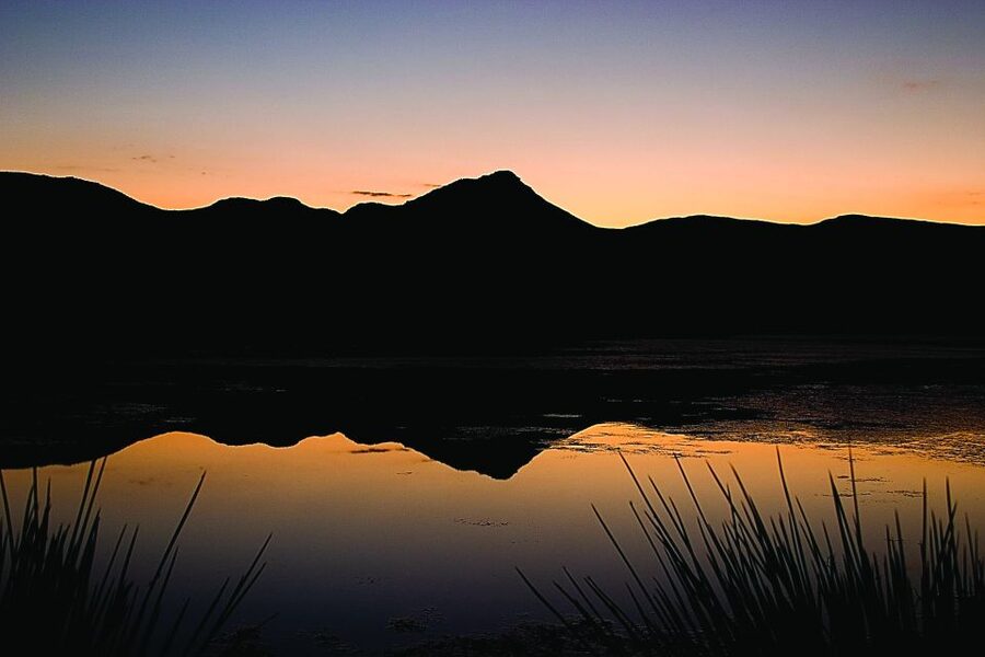 Cape Town: Aquila Game Reserve Day Entrance & Game Drive - Breakfast sets the pace at Aquila