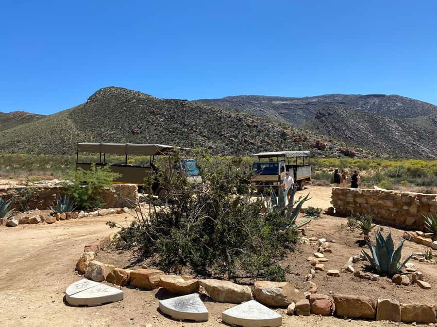 Cape Town: Aquila Game Reserve Wildlife and Wine Tasting - From Cape Town to Aquila Game Reserve