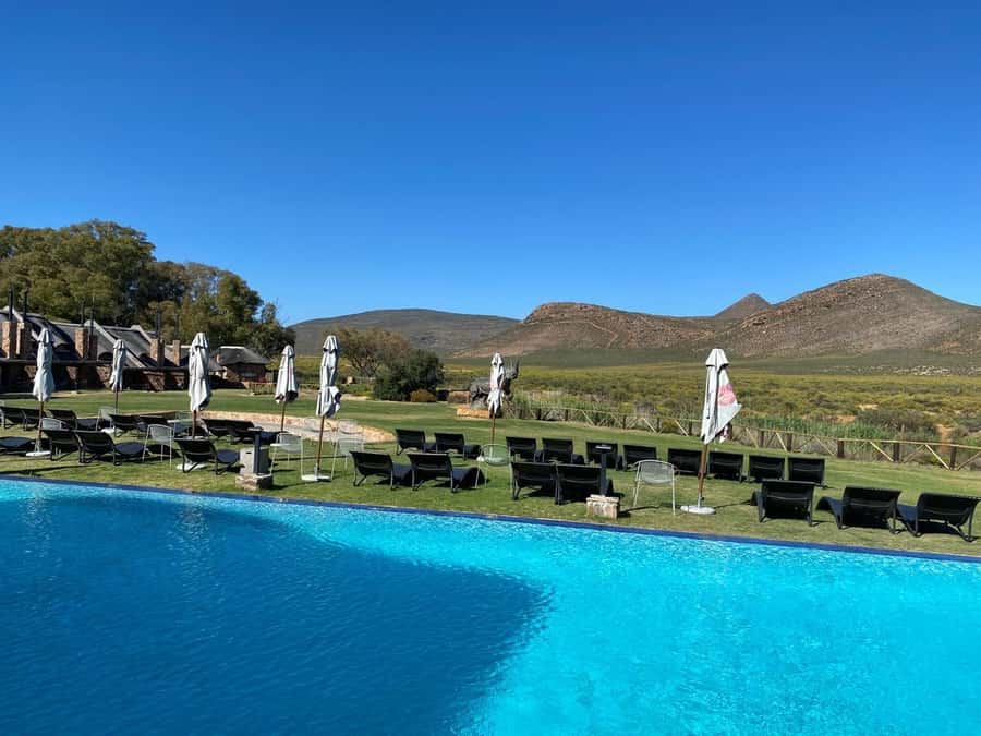 Cape Town: Aquila Game Reserve Wildlife and Wine Tasting - Safari first, wine later