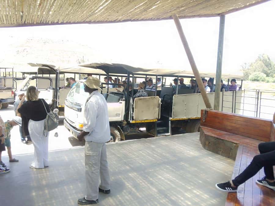 Cape Town: Aquila Reserve Safari with Lunch and Winery Visit - The real value of the $123 price