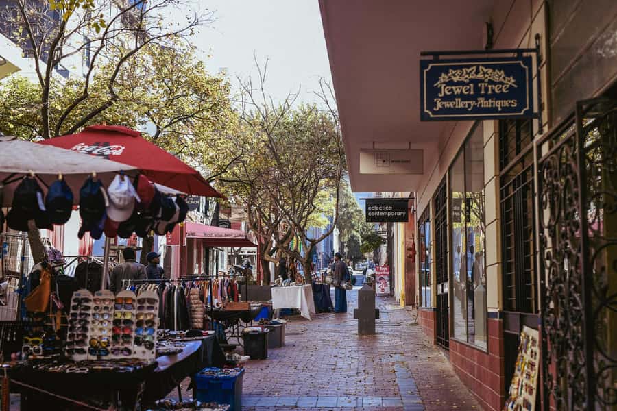 Cape Town: Art, Culture & History Walking Tour - Company’s Garden, the Slave Lodge, and the weight of history