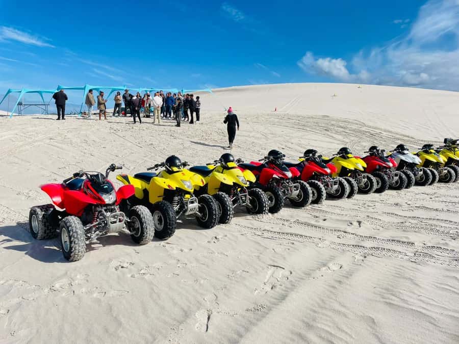 Cape Town: Atlantis Dunes Quad Bike & Free Sandboarding Tour - Quad biking across the white Atlantis Dunes
