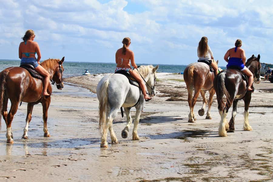 Cape Town: Beach Horse Ride with Hotel Pickup & Drop-off - Five details worth knowing before you book