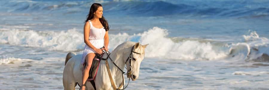 Cape Town: Beach Horse Ride with Hotel Pickup & Drop-off - Why Noordhoek Beach makes this ride special