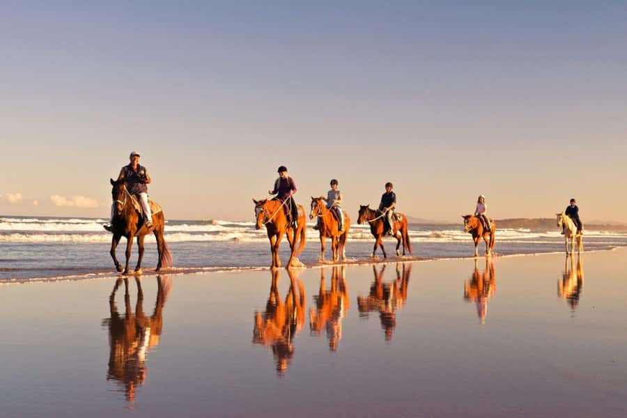 Cape Town: Beach Horse Ride with Hotel Pickup & Drop-off - What happens during the one-hour ride