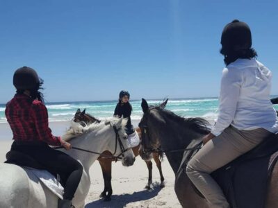 Beach Horse Ride with Hotel Pickup & Drop-off