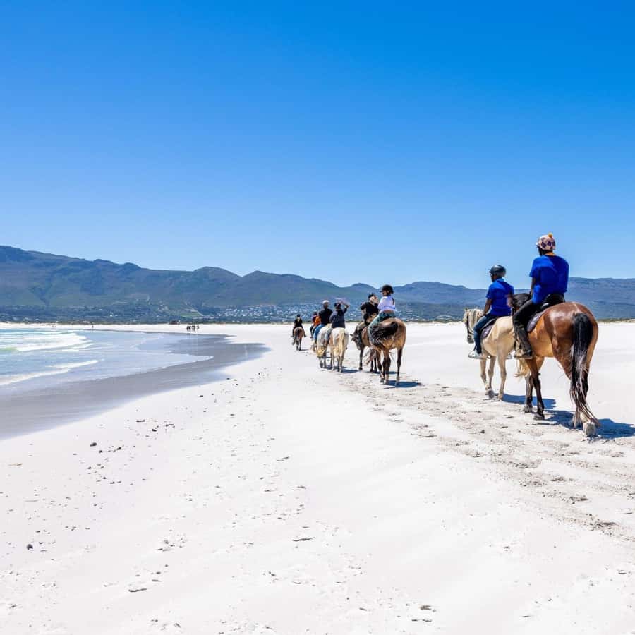 Cape Town: Beach Horse Ride with Hotel Pickup & Drop-off - Water, waves, and the option to gallop