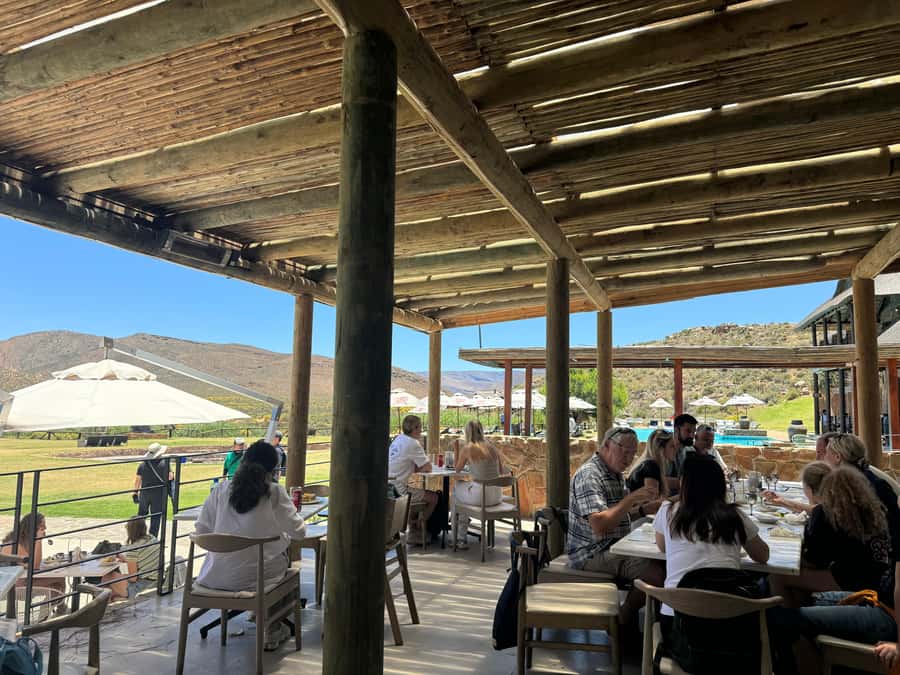 Cape Town Big 5 Safari Day Tour with Hotel Pickup& GameDrive - Is $370 Good Value?