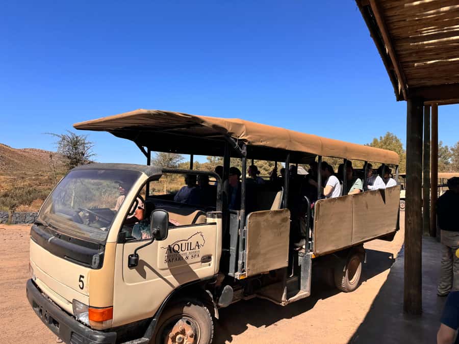 Cape Town Big 5 Safari Day Tour with Hotel Pickup& GameDrive - Who Will Enjoy This Day Trip Most?