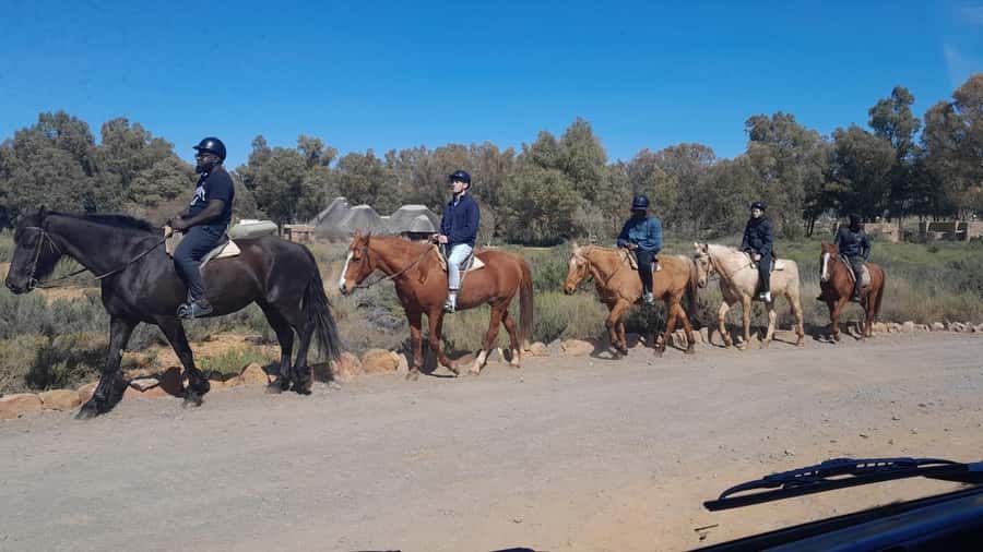 Cape Town big five safari with transport lunch Excl park fee - Conservation lessons beyond the animals