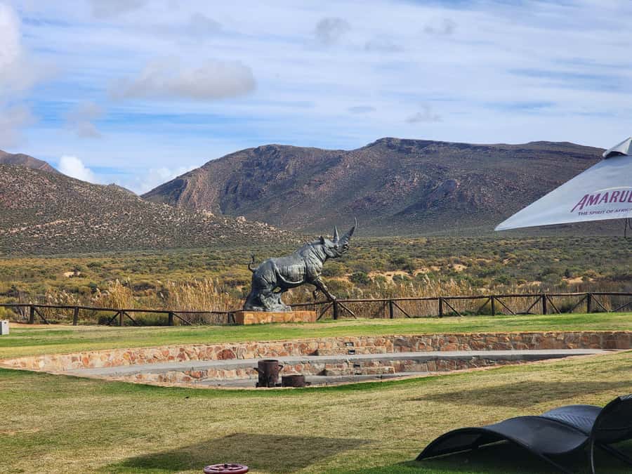 Cape Town big five safari with transport lunch Excl park fee - Lunch, the pool, and time between activities