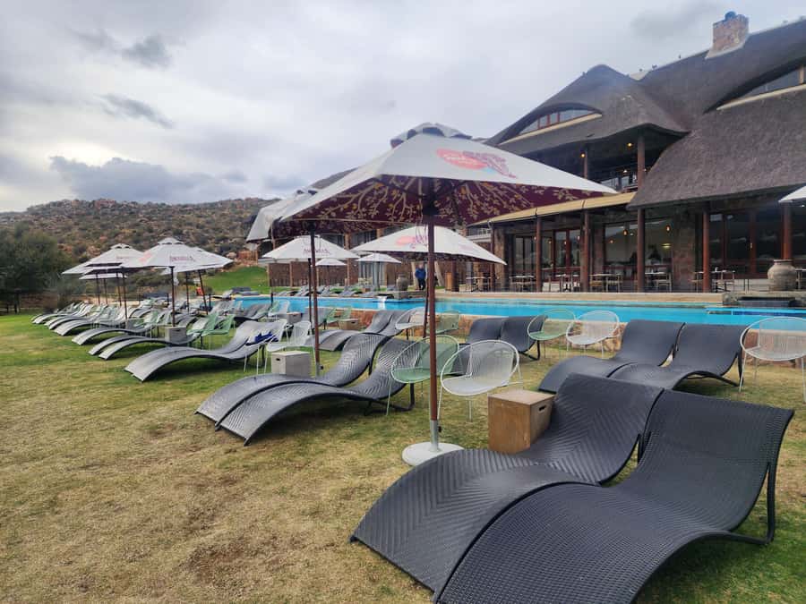 Cape Town big five safari with transport lunch Excl park fee - Should you book the Aquila safari?