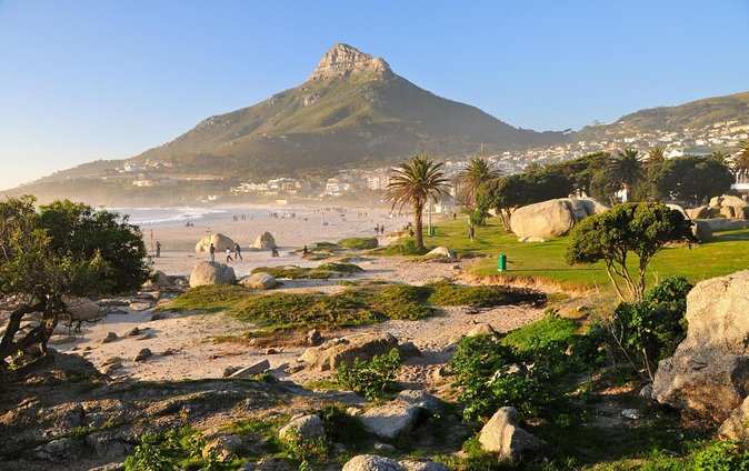 Cape Town Boat Trip - Key points to know before you book