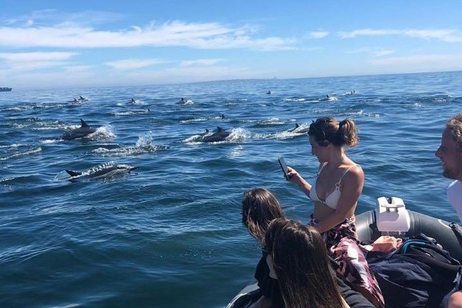 Cape Town Boat Trip - Why seeing Table Mountain from Granger Bay matters