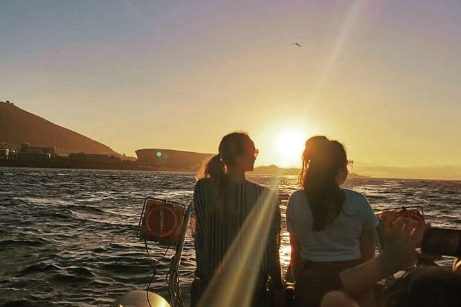 Cape Town Boat Trip - Wildlife sightings: a welcome bonus, not the main promise