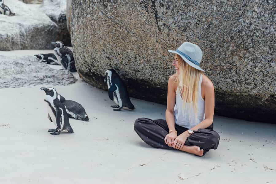 Cape Town: Boulders Penguin Colony Prebooked Entry Ticket - Key points to know before you book