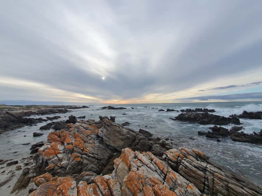 Cape Town: Cape Aghullas Van Tour with Hotel Pickup - Key points to know before booking