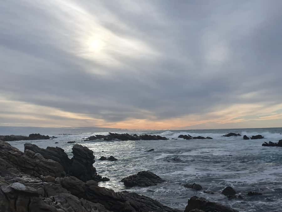 Cape Town: Cape Aghullas Van Tour with Hotel Pickup - Why Cape Agulhas is worth the long ride