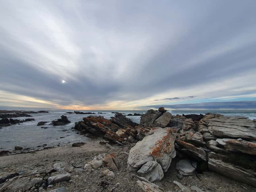 Cape Town: Cape Aghullas Van Tour with Hotel Pickup - Steenbras Dam and the Elgin Valley