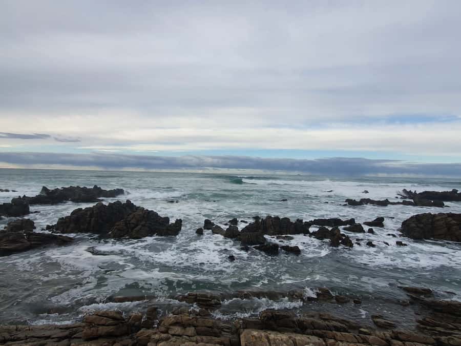 Cape Town: Cape Aghullas Van Tour with Hotel Pickup - Hermanus gives the day a second major stop