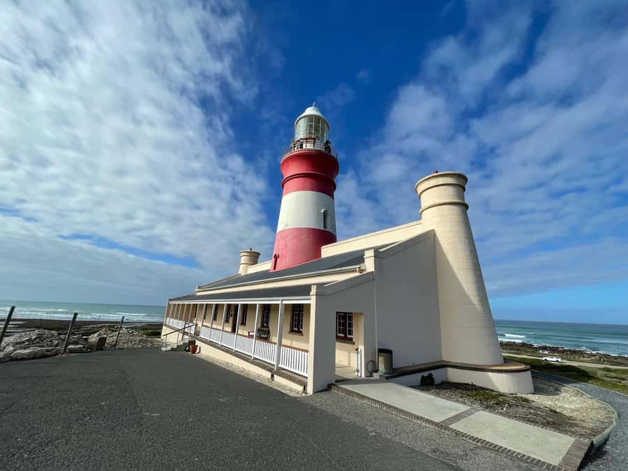 Cape Town: Cape Agulhas and Stony Point Penguin Tour - Why the 10-hour journey is worth considering