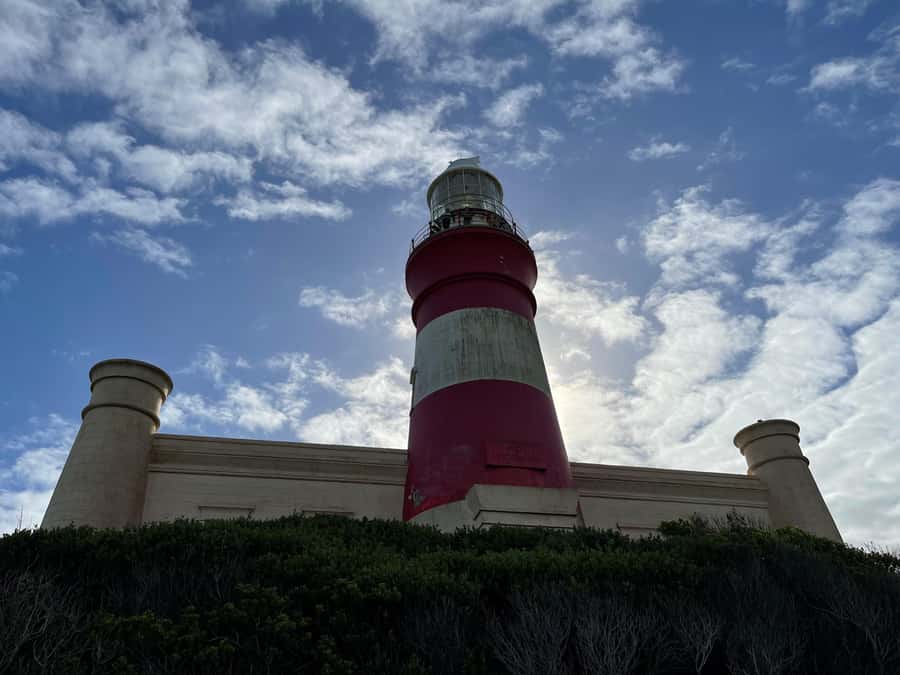 Cape Town: Cape Agulhas and Stony Point Penguin Tour - Hermanus brings whale-watching potential