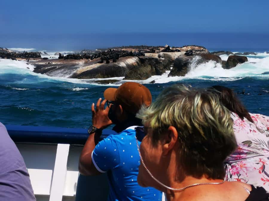 Cape Town: CAPE OF GOOD HOPE AND PENGUINS PRIVATE FULL DAY. - Hout Bay, fishing boats, and the seal option