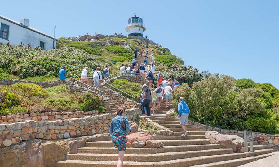 Cape Town: CAPE OF GOOD HOPE AND PENGUINS PRIVATE FULL DAY. - Chapman’s Peak Drive, the scenic centerpiece