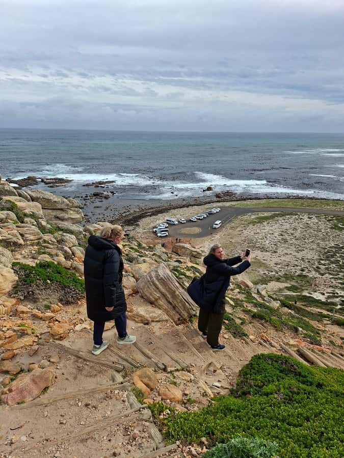 Cape Town: CAPE OF GOOD HOPE AND PENGUINS PRIVATE FULL DAY. - What the guide adds to the day
