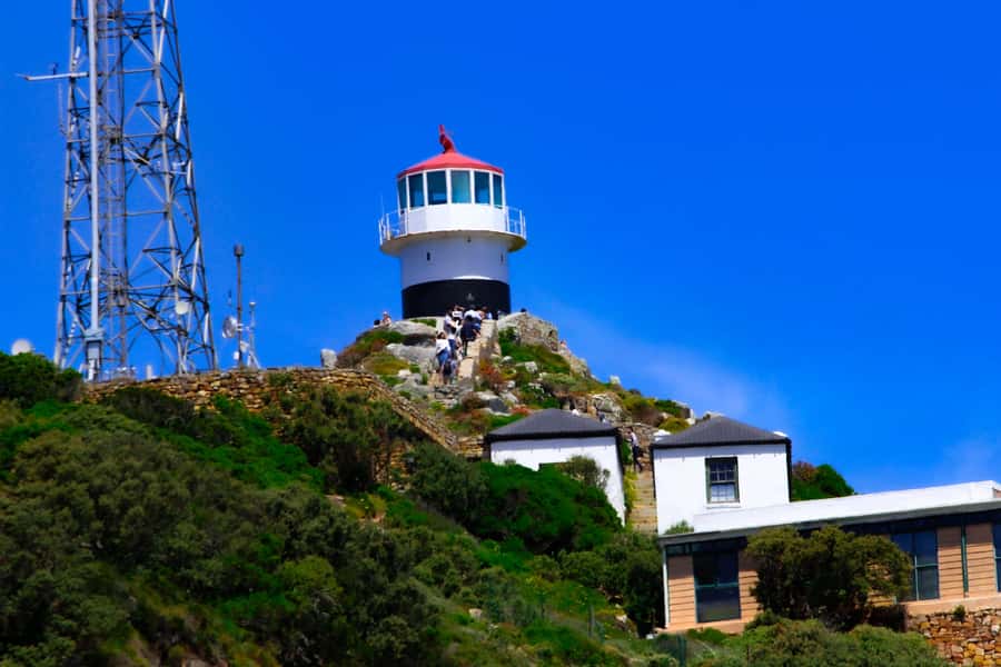 Cape Town: Cape of Good Hope & Boulders Beach Group Tour - Key points before you book