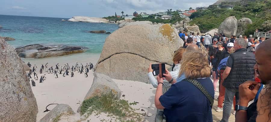 Cape Town: Cape of Good Hope, Penguins and Sightseeing Tour - Camps Bay and Hout Bay’s optional boat trip