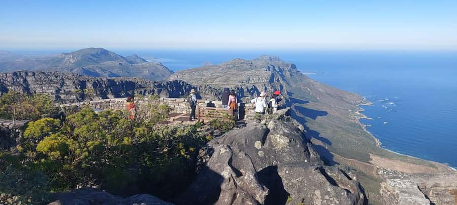 Cape Town: Cape of Good Hope, Penguins and Sightseeing Tour - The pace, guide quality, and lunch question