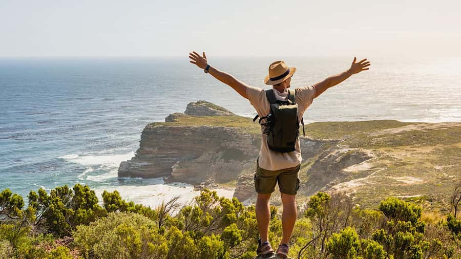 Cape Town: Cape of Good Hope & Penguins Day Tour with Pickup - The day in four useful facts