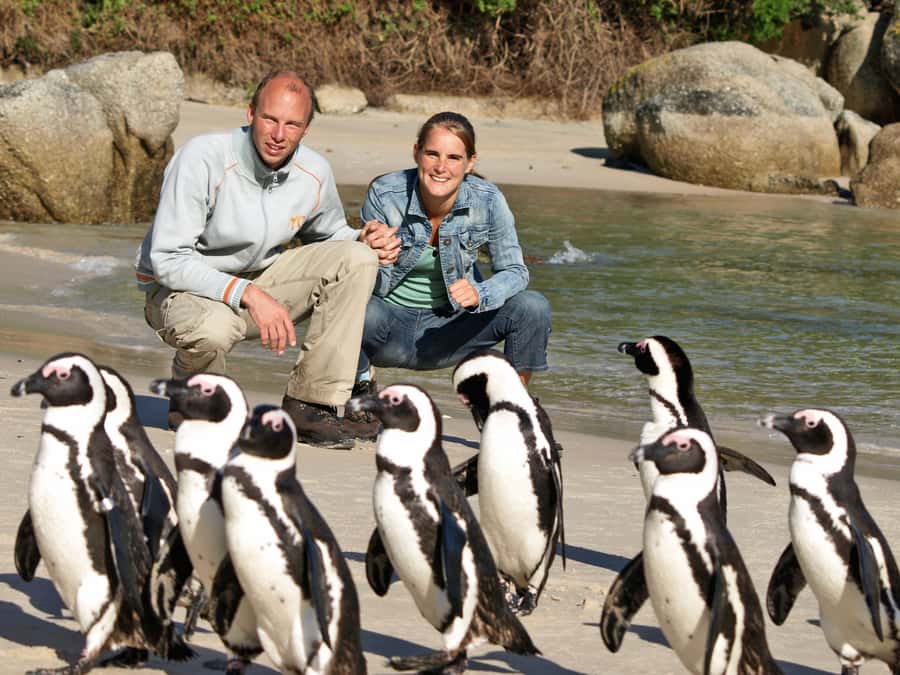 Cape Town: Cape of Good Hope & Penguins Day Tour with Pickup - Hout Bay brings seals, boats, and optional spending
