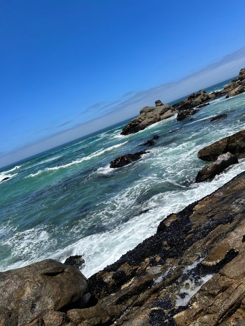 Cape Town: Cape of Good Hope & Penguins Full-Day Guided Tour - Chapman’s Peak supplies the big road views