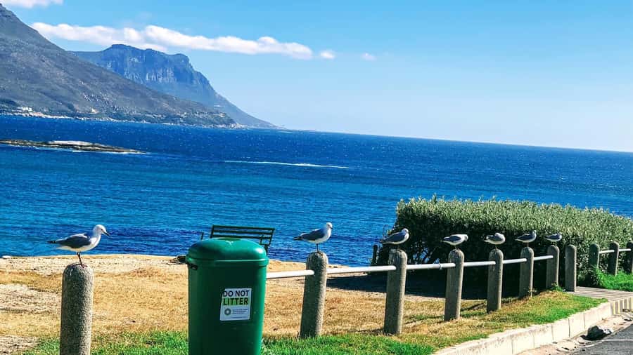 Cape Town: Cape of Good Hope & Penguins Full-Day Guided Tour - Camps Bay and Maiden’s Cove start the day