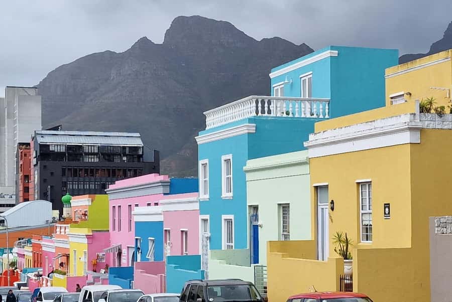 Cape Town: Cape of Good Hope, Penguins Instagram Group Tour - What This $37 Cape Town Day Trip Really Offers