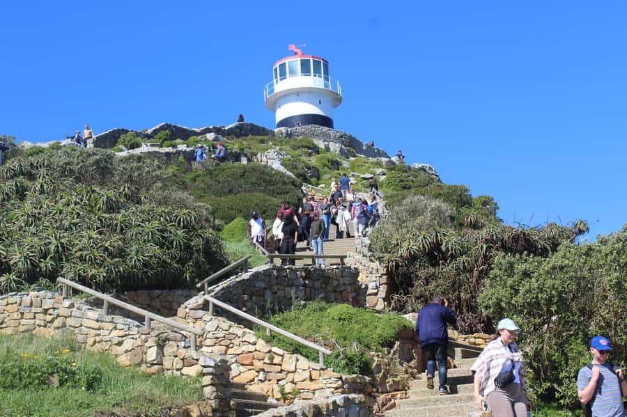 Cape Town: Cape of Good Hope & Penguins Private Scenic Tour - Cape of Good Hope is more than a signpost