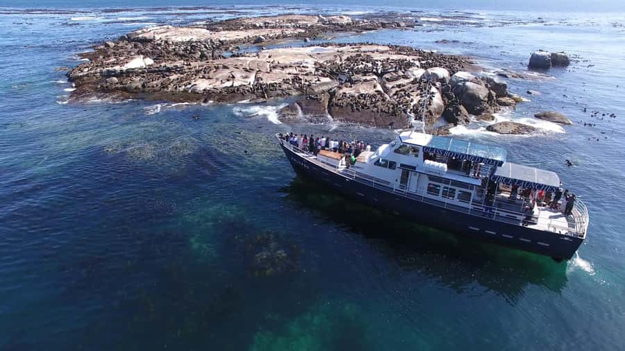 Cape Town: Cape of Good Hope, Seals and Penguins Day Tour - Why this Cape Town day tour works
